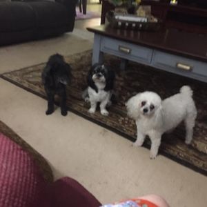 Meet your Posher, Nancy